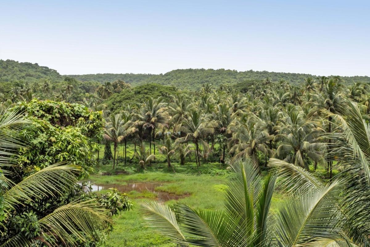 Ikigai Luxury Stays Old Goa Exteriör bild